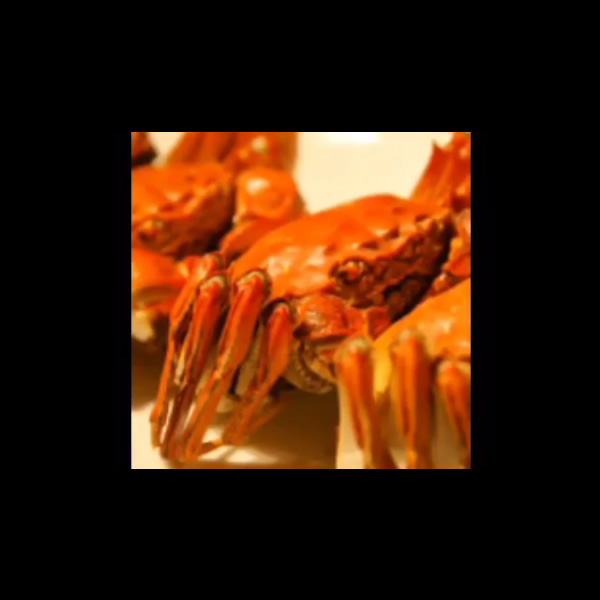 くるりのミュージックビデオをみんなで作ろうプロジェクト 上海蟹食べたい あなたと食べたいよ